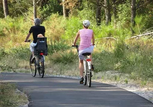 De Tol